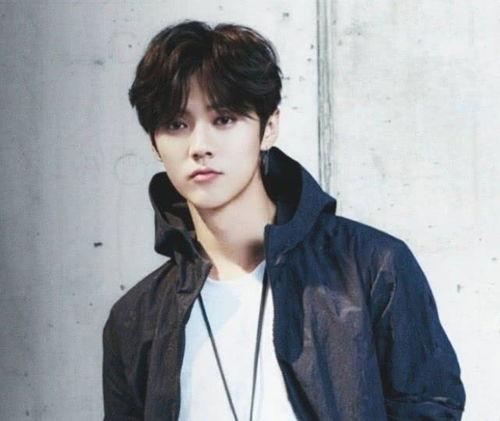 鹿晗找爆料者和解视频,视频揭露背后真相